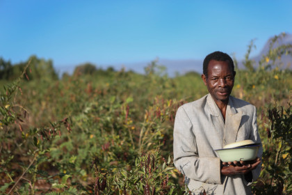 Un agricultor recoge chiles en una finca en Malawi. Los agricultores mercadean su producto colectivamente gracias a un consorcio de CRS de agricultura para el desarrollo (WALA, en inglés). Foto por Sara Fajardo de CRS 