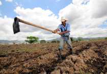 Un agricultor en Honduras cava canales de riego en Alauca, Honduras. Foto por Neil Palmer para CIAT y CRS.