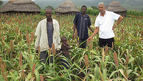 Beneficiarios de SILP de la comunidad Nyathela con personal de campo de Cáritas Swazilandia y cosecha de sorgo. Foto de Peter Clark / CRS