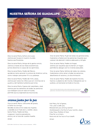 Oracion A La Virgen De Guadalupe Catholic Relief Services