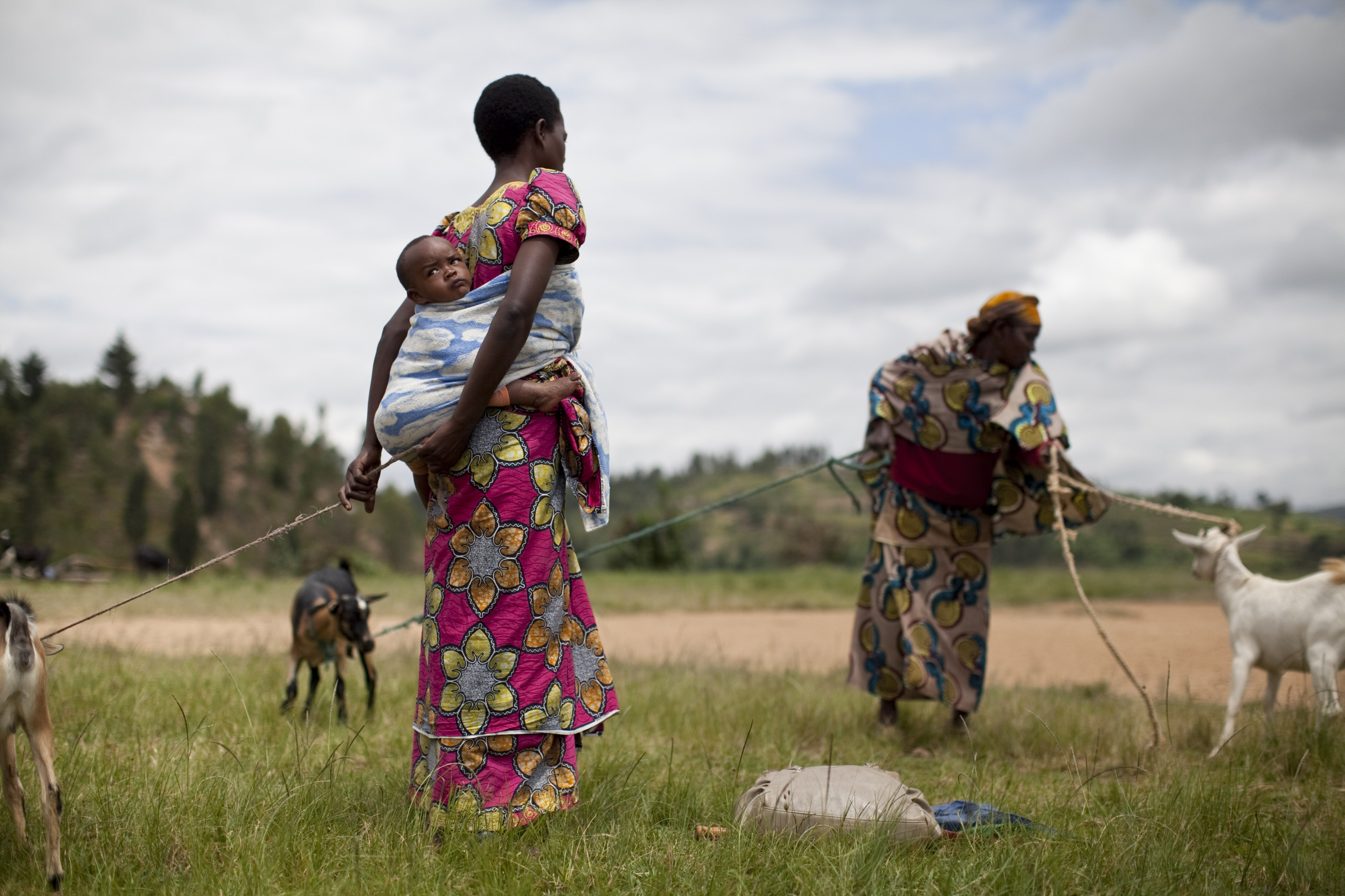 Therese Umuhire, 35, with her son Alfred tied to her back, holds onto the goat she bought at a livestock fair on Tuesday, May 6, 2014, in Cyanika, Rwanda. The fair is one of many livelihoods initiatives between Green Mountain Coffee Roasters and Catholic Relief Services to help Rwanda's coffee growers thrive. The goat will provide Umuhire with organic manure and -- eventually -- baby goats that can be sold.