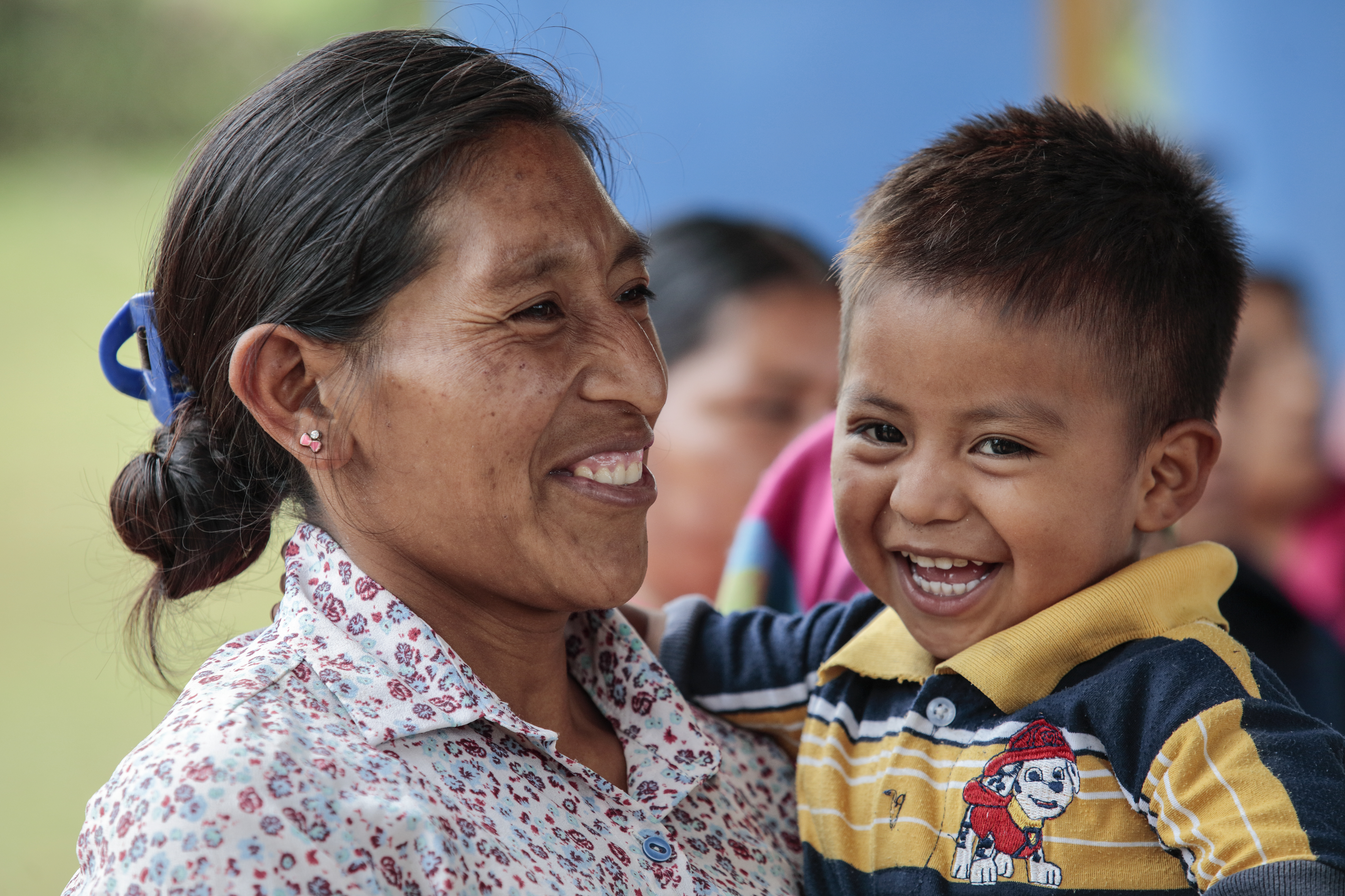 Alimentos para la educacion