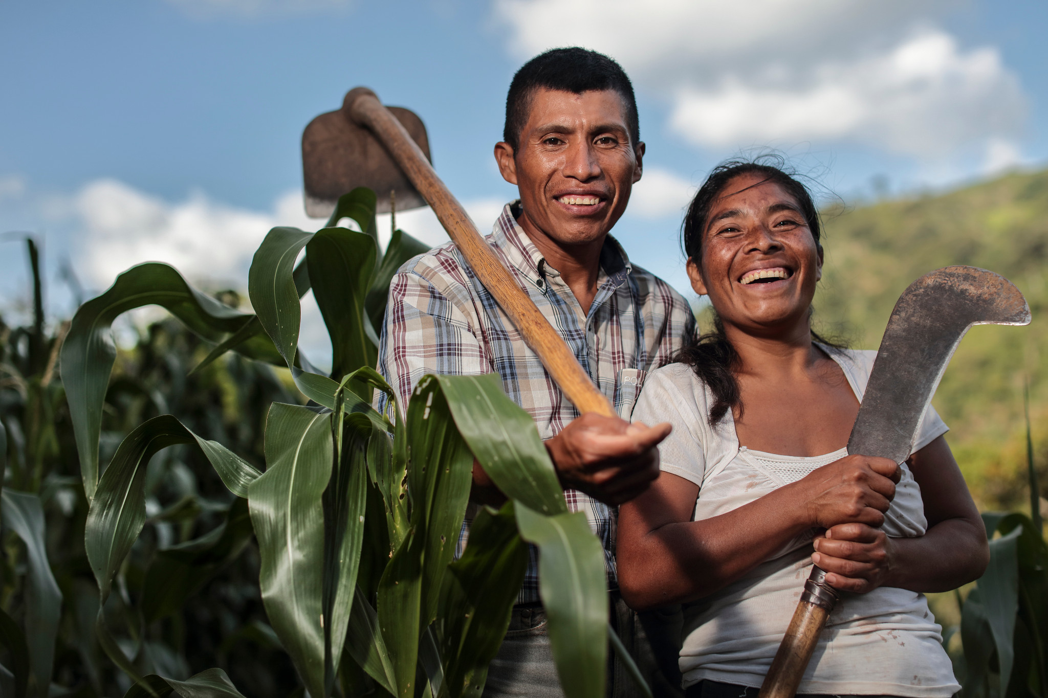 agricultores guatemaltecos