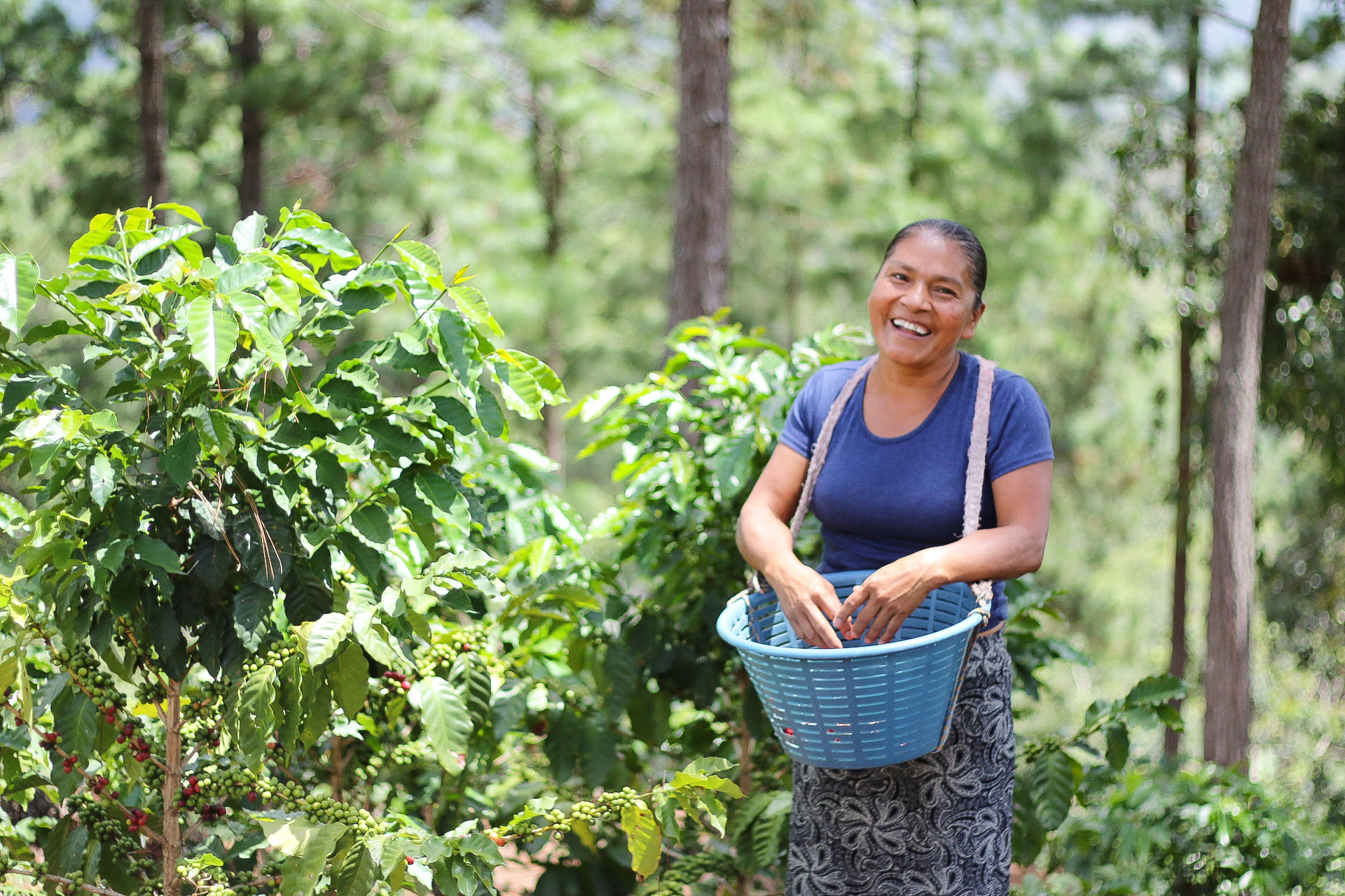 agricultora guatemalteca