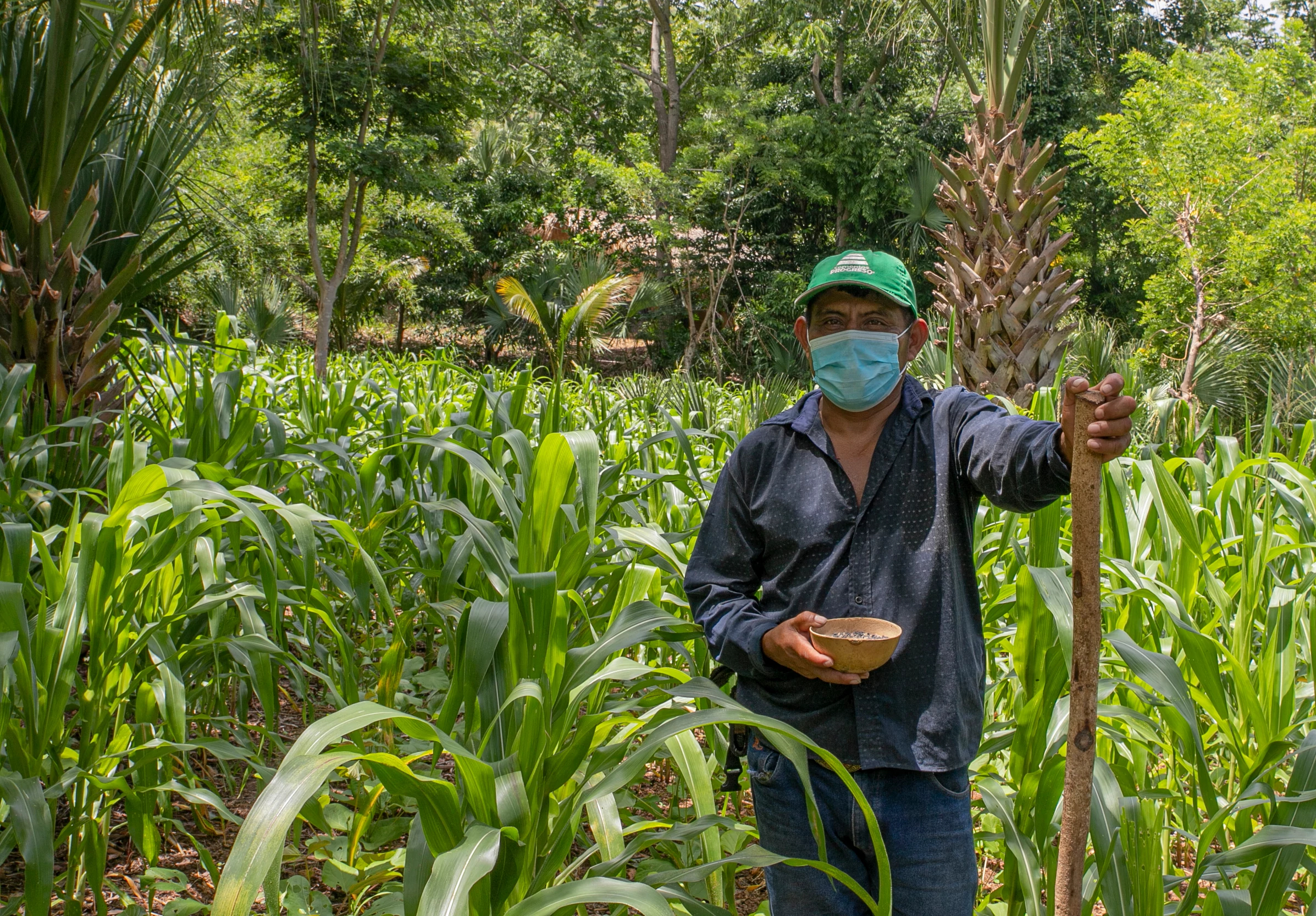 agricultor guatemalteco