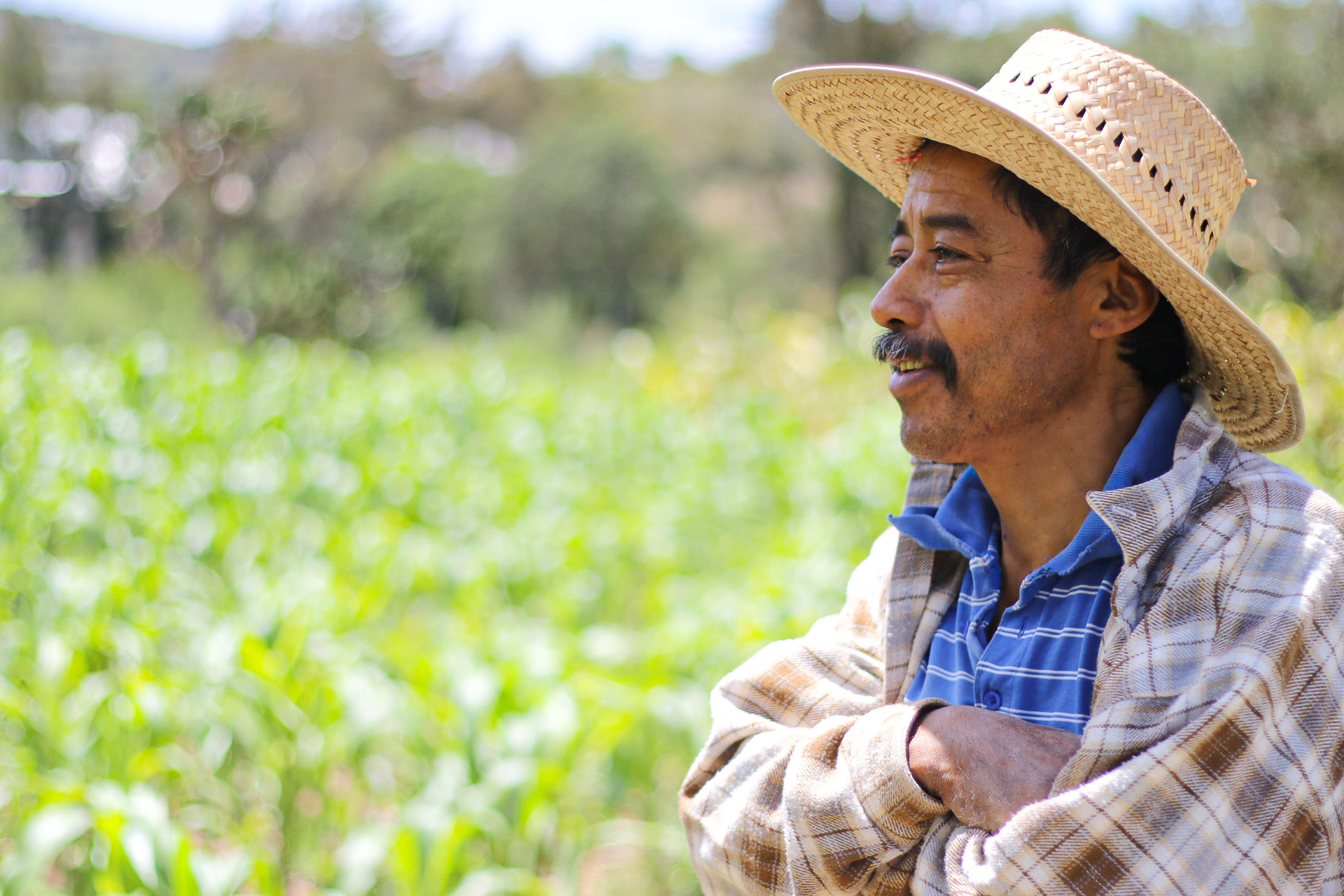 agricultor mexicano