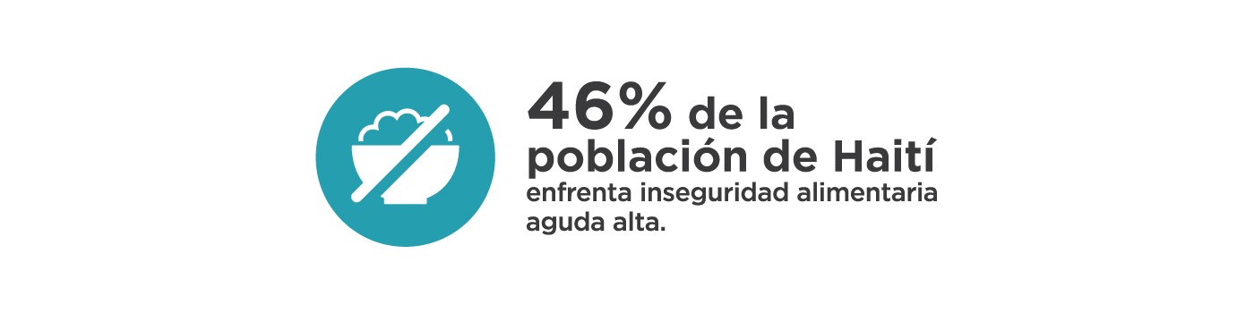 46% de la población de Haití sufre hambre