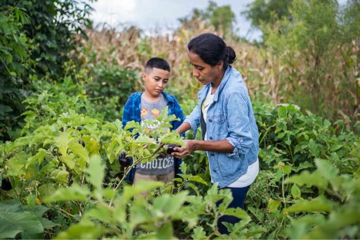 Woman showing plants to boy.
