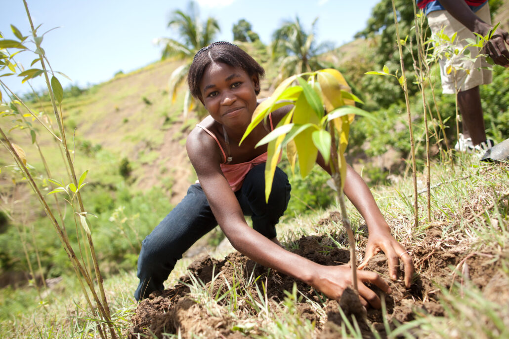 jovenes agricultores en haiti en los campos de cacao
