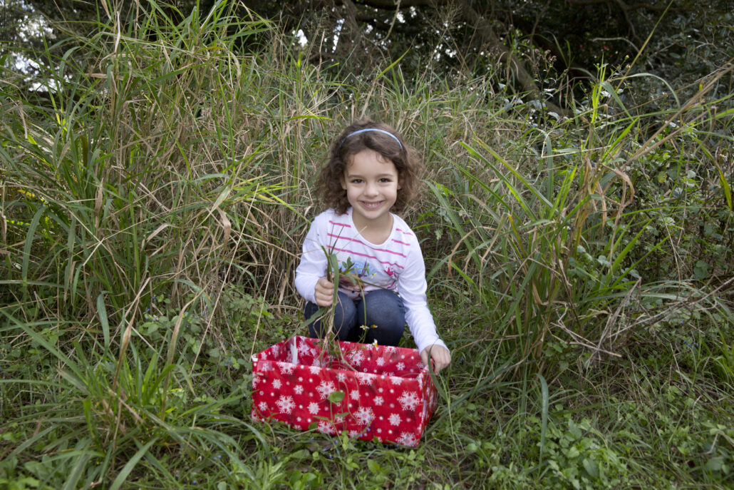 Cataño celebrará mañana el Día de Reyes con entrega de regalos y  entretenimiento para la niñez • WIPR