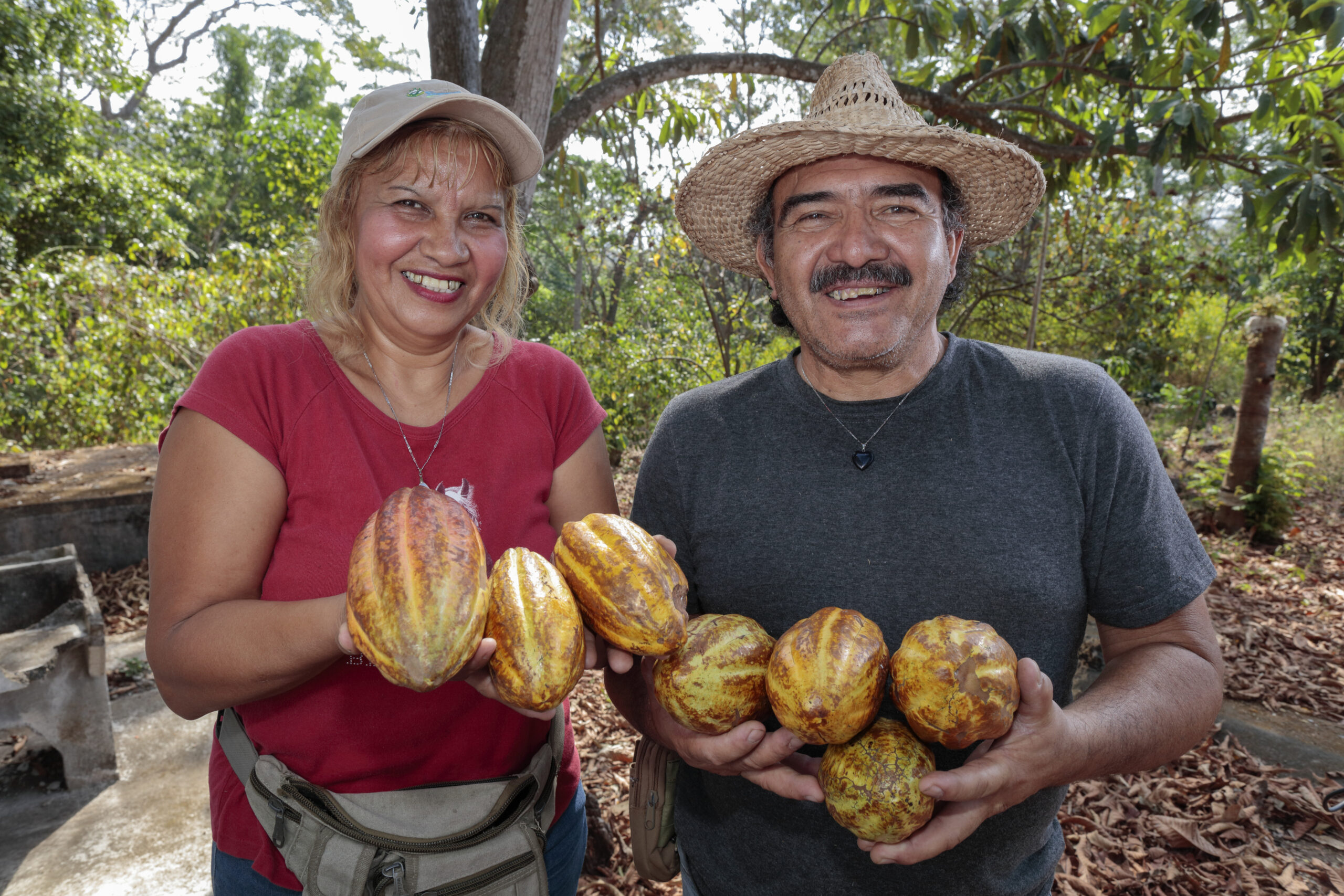 pareja de agricultores muestra con orgullo su primera cosecha de cacao