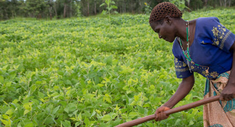 agricultora en tanzania
