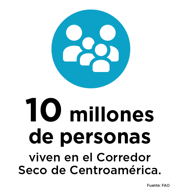 10 millones de personas viven en el Corredor Seco de Centroamérica