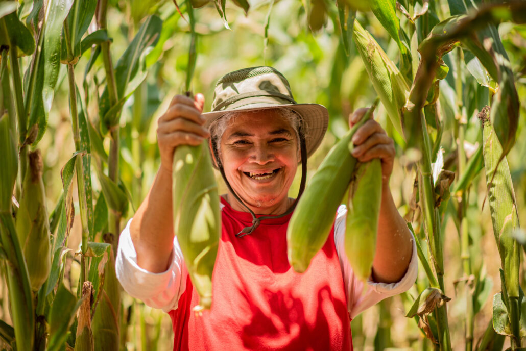 agricultora hondureña muestra sonriente su cosecha de maíz