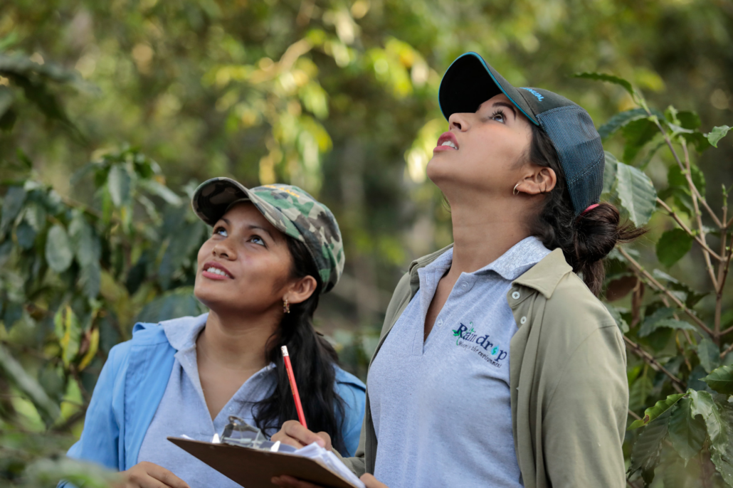 agricultoras salvadoreñas estudian la humedad del bosque San Lorenzo, Ahuachapán