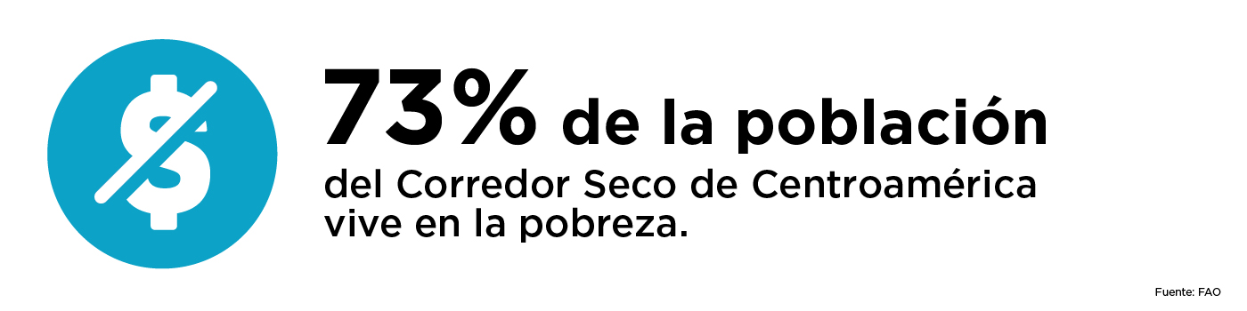 73% de población del Corredor Seco de Centroamérica vive en la pobreza
