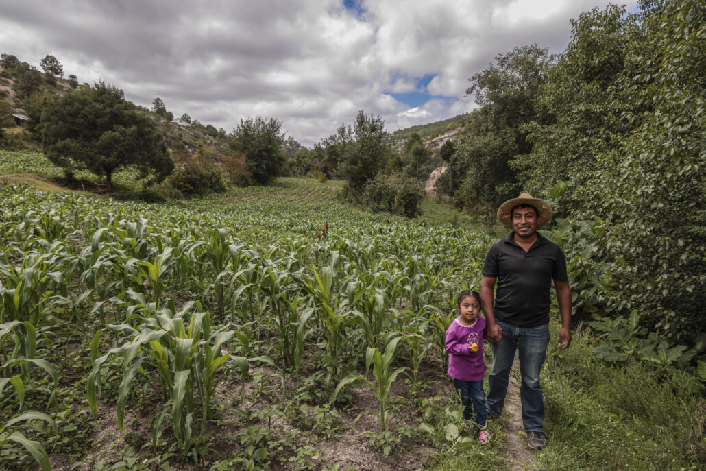 agricultor de Oaxaca junto a su hija en una parcela de cultivos