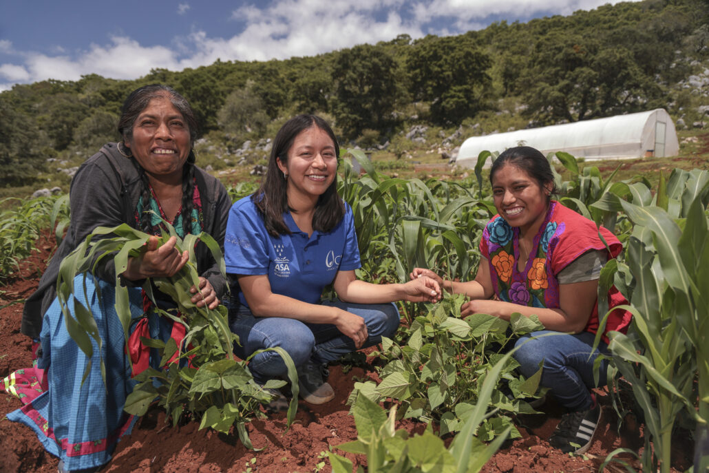 agricultoras del pueblo mixteco en México reciben capacitación de técnicas agrícolas