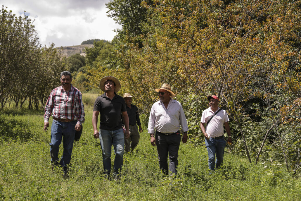 grupo de agricultores de Oaxaca