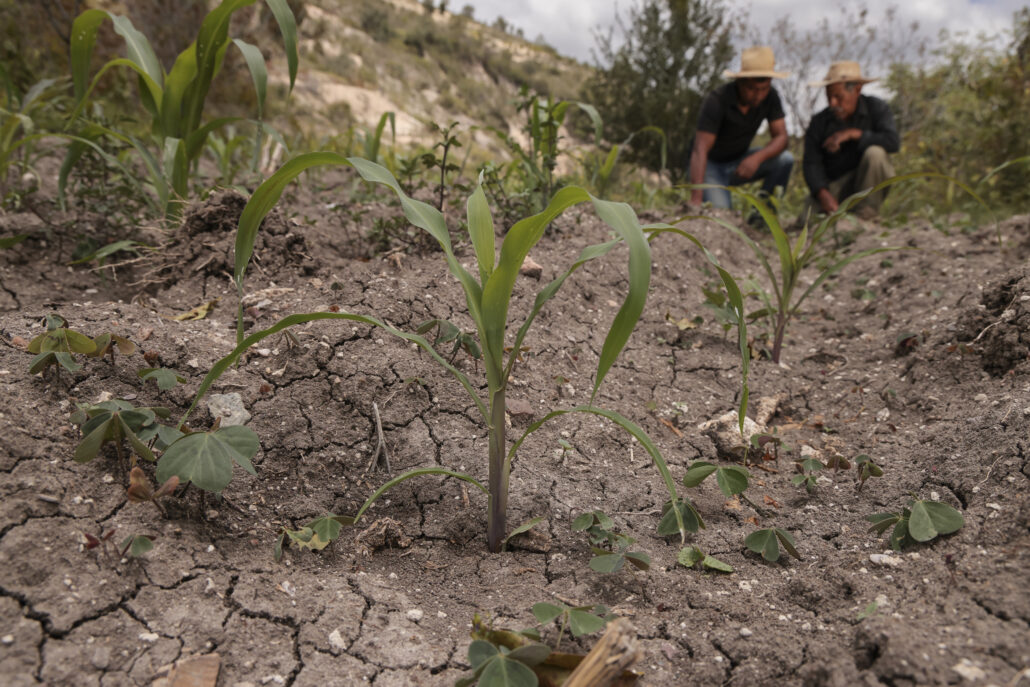 tierra seca por sequía