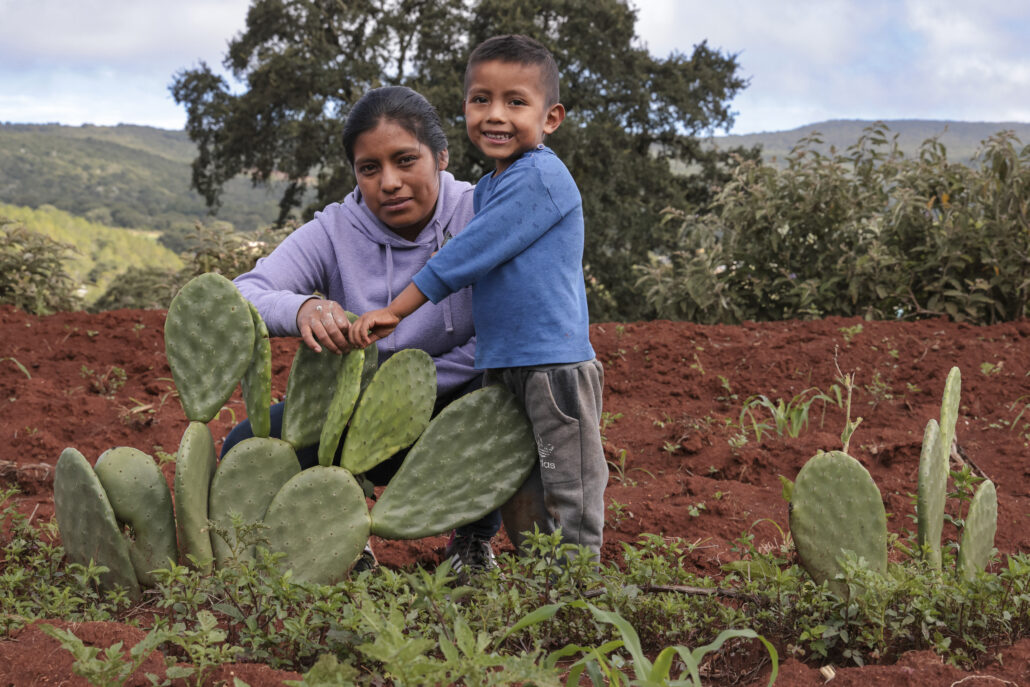 mujer agricultora e hijo muestran su cosecha de nopal