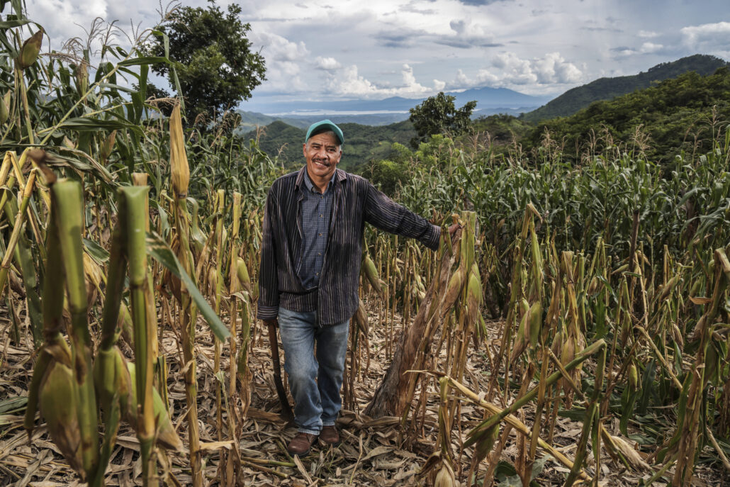 agricultor salvadoreño muestra su cosecha de maíz