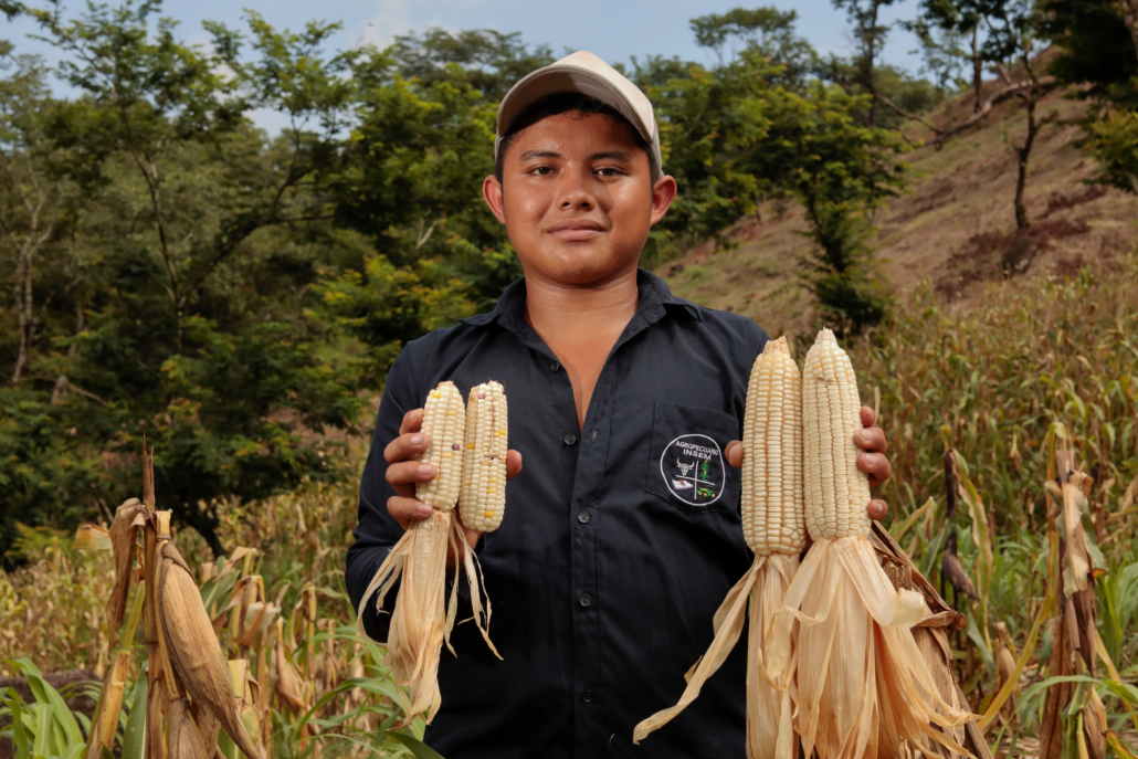 joven agricultor salvadoreño muestra su cosecha de maíz