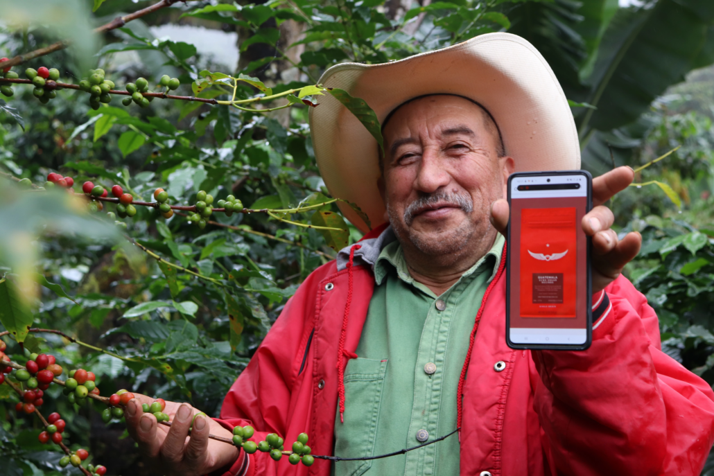 agricultor guatemalteco muestra en su celular cómo sus granos de café se venden por internet