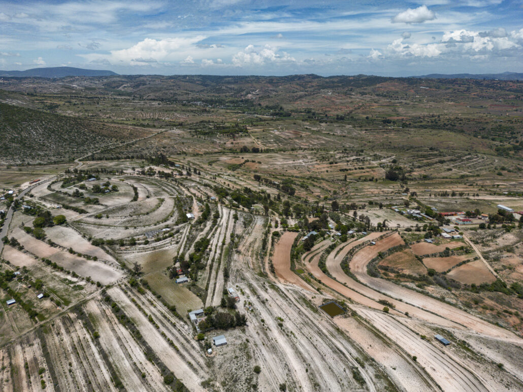 suelo deforestado en méxico