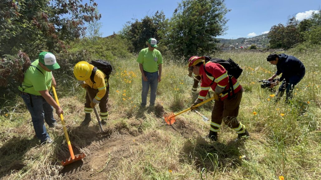 capacitación de herramientas forestales