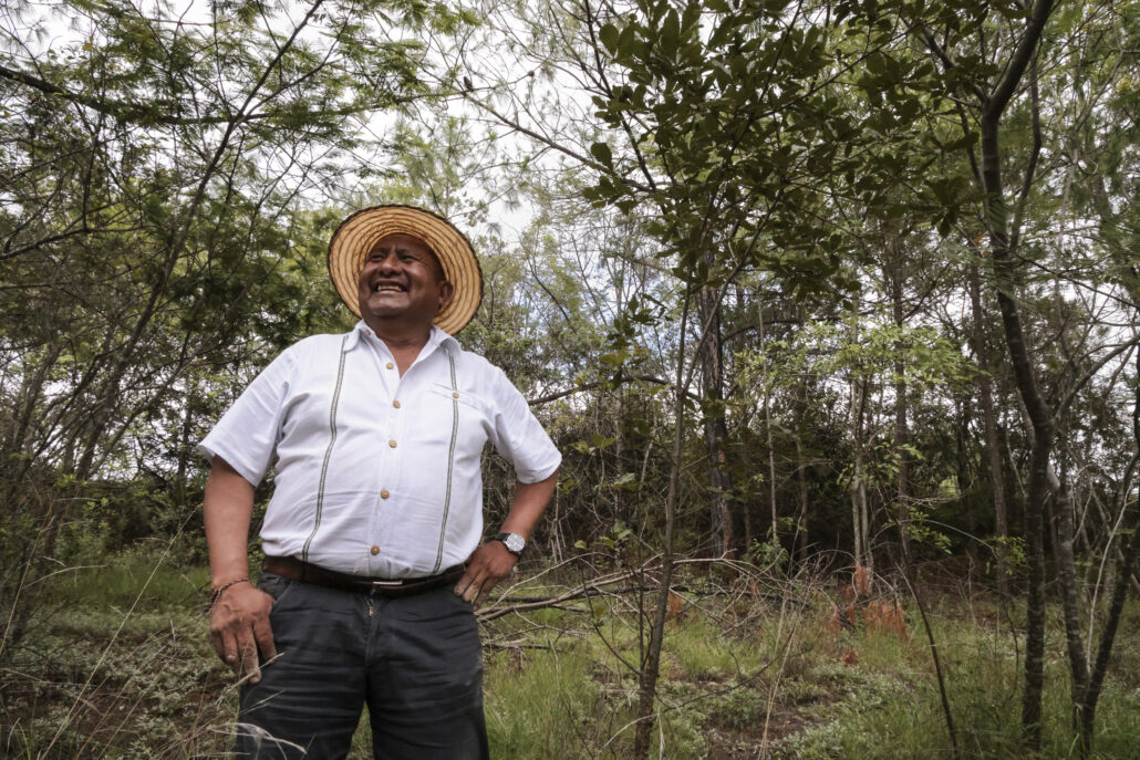 hombre agricultor sonríe al ver el verdor de sus campos