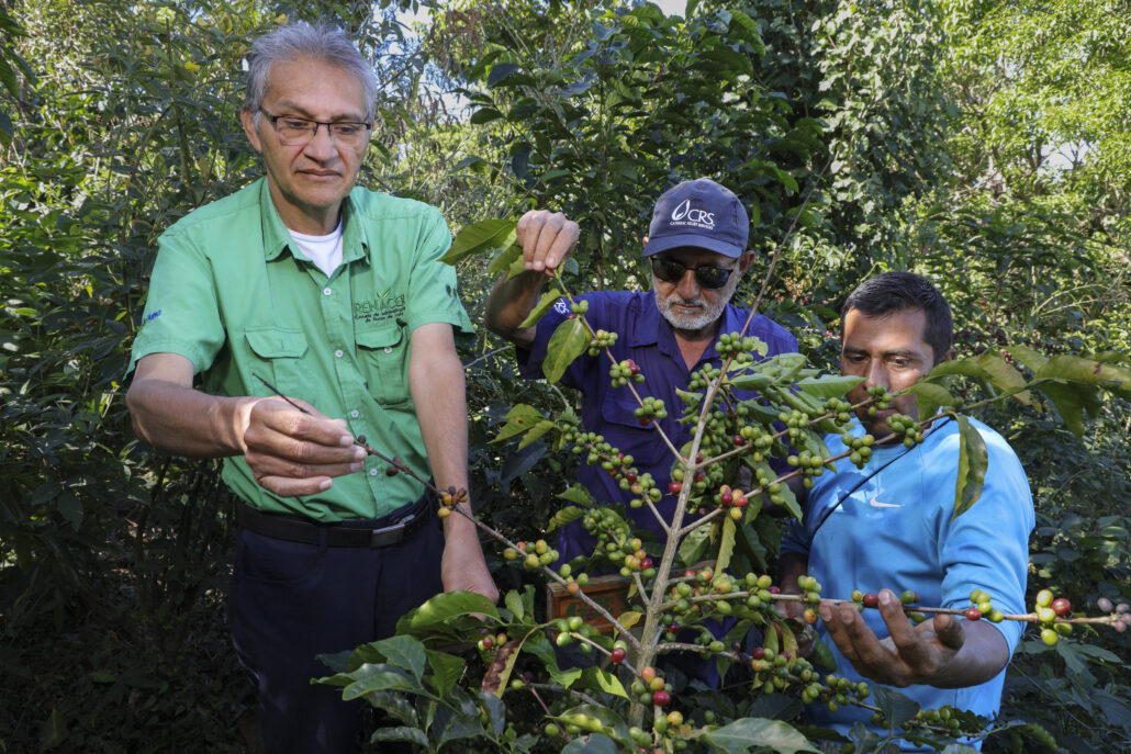 agricultores de El Salvador protegen el medio ambiente