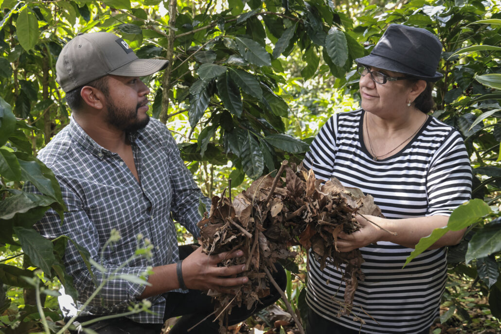 agricultores de café implementando nuevas prácticas agrícolas